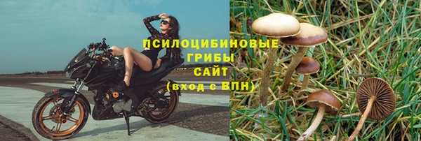 прущие грибы Нефтегорск