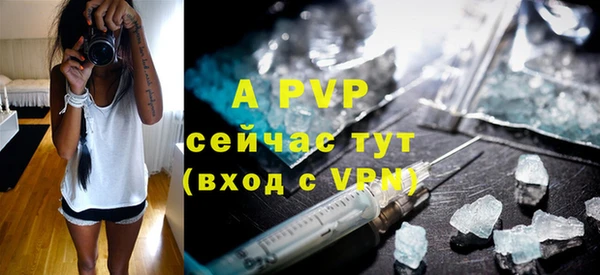 прущие грибы Нефтегорск