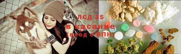 прущие грибы Нефтегорск