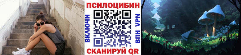 наркота  Новое Девяткино  Псилоцибиновые грибы прущие грибы 