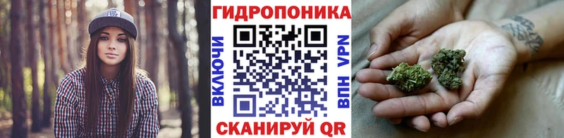 купить Новое Девяткино площадка как зайти Шишки марихуана конопля
